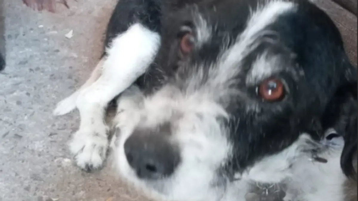 Captura de pantalla 2024-05-26 a la(s) 14.07.22