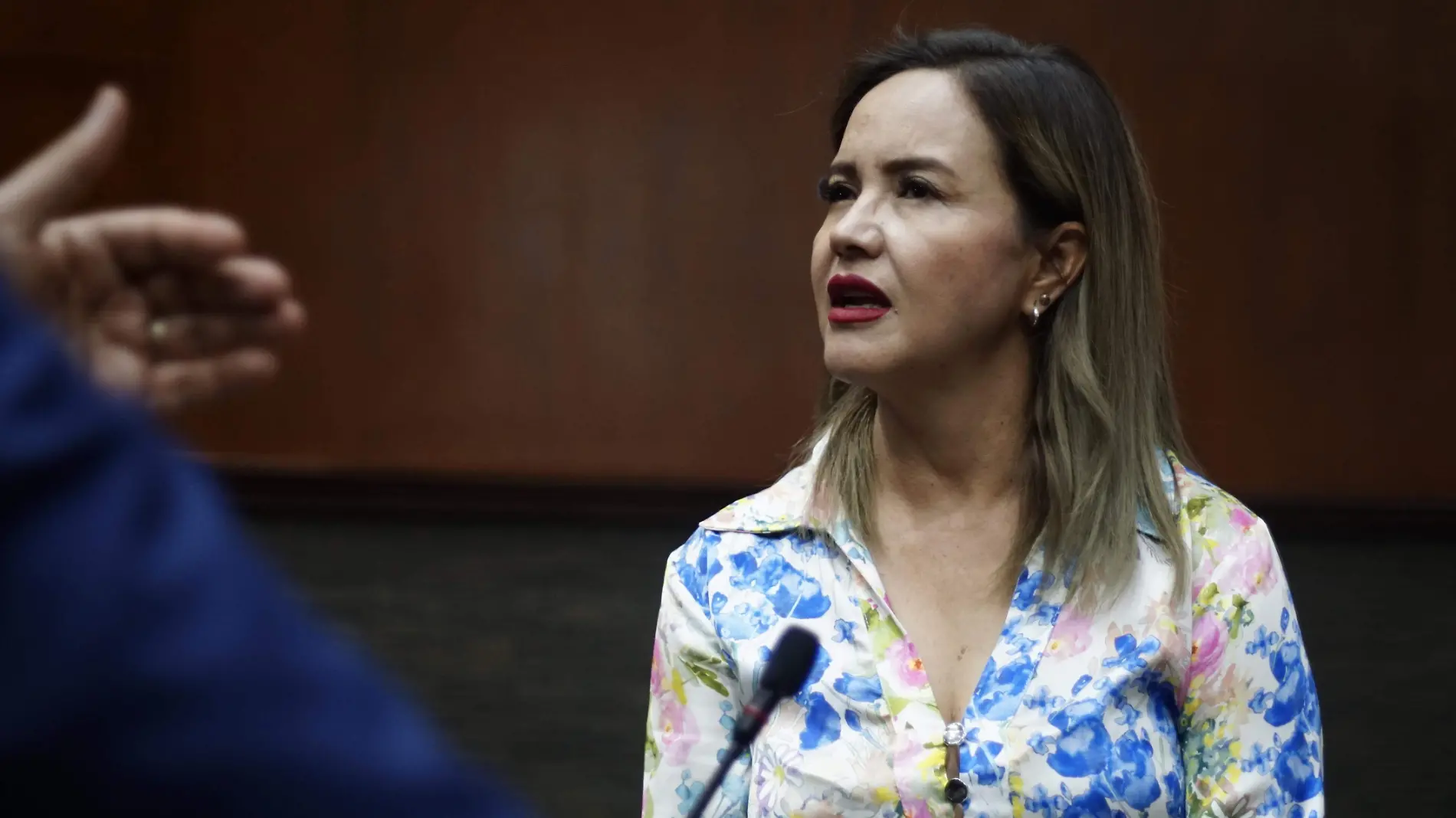 Diputada San Juana Martínez Meléndez