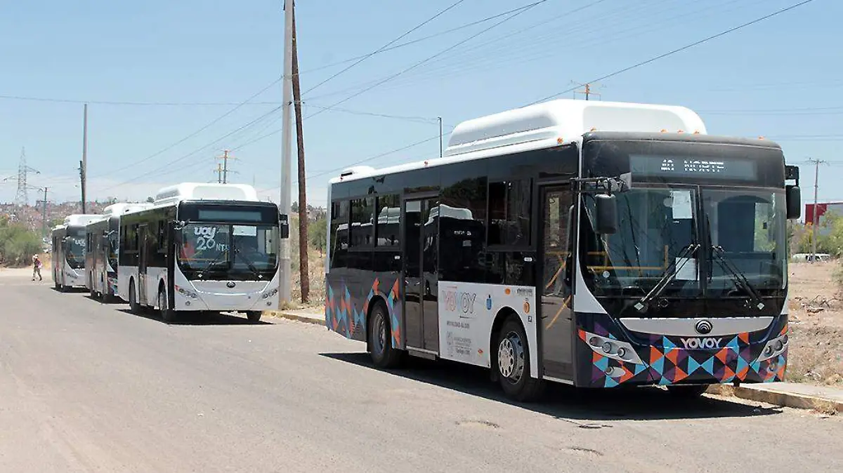 Camiones-TransportePúblico-Autobuses-YoVoy