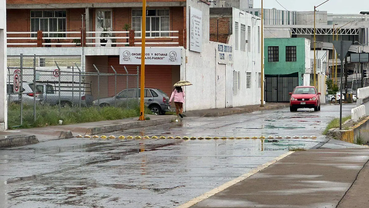 WhatsApp Image 2024-07-11 at 10.13.11 AM