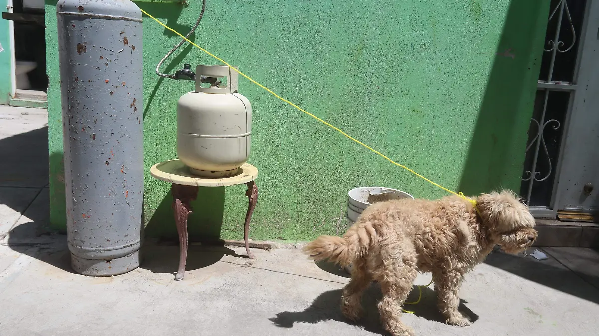 KBLOC-26-03-2024_102