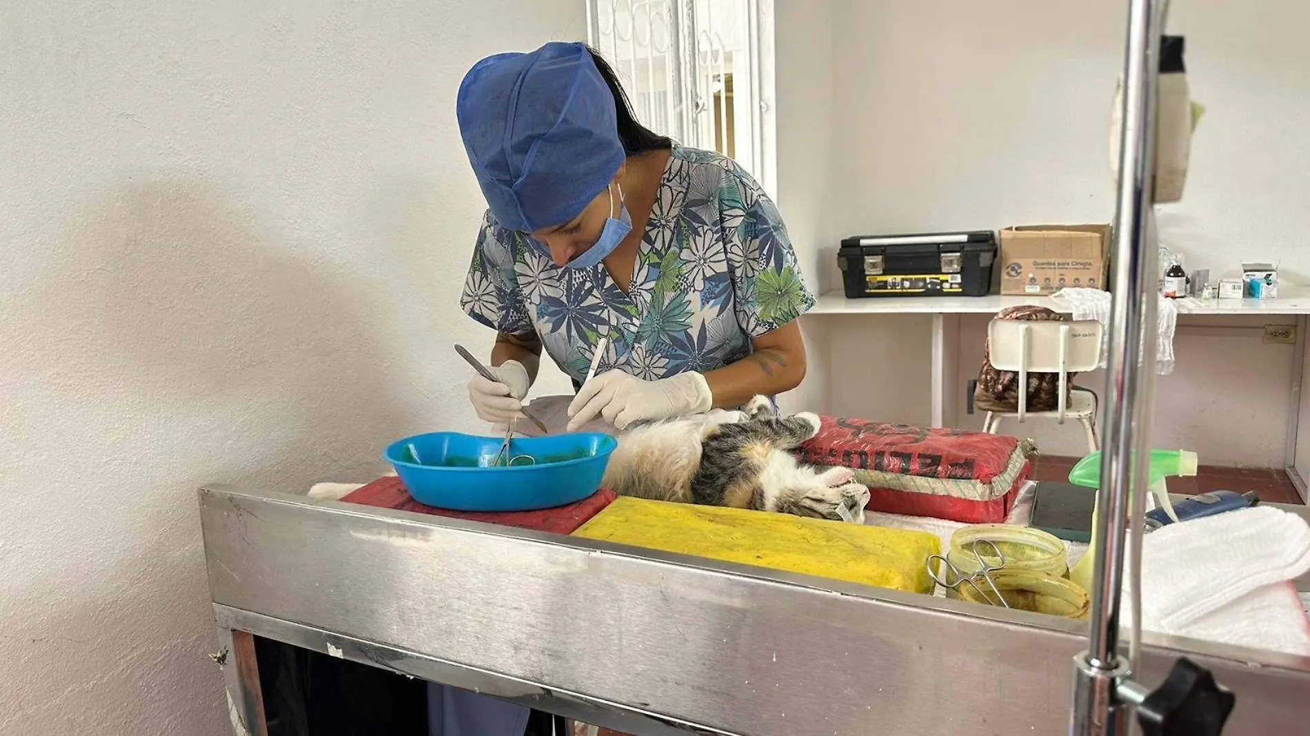 MPIO_ESTERILIZACION