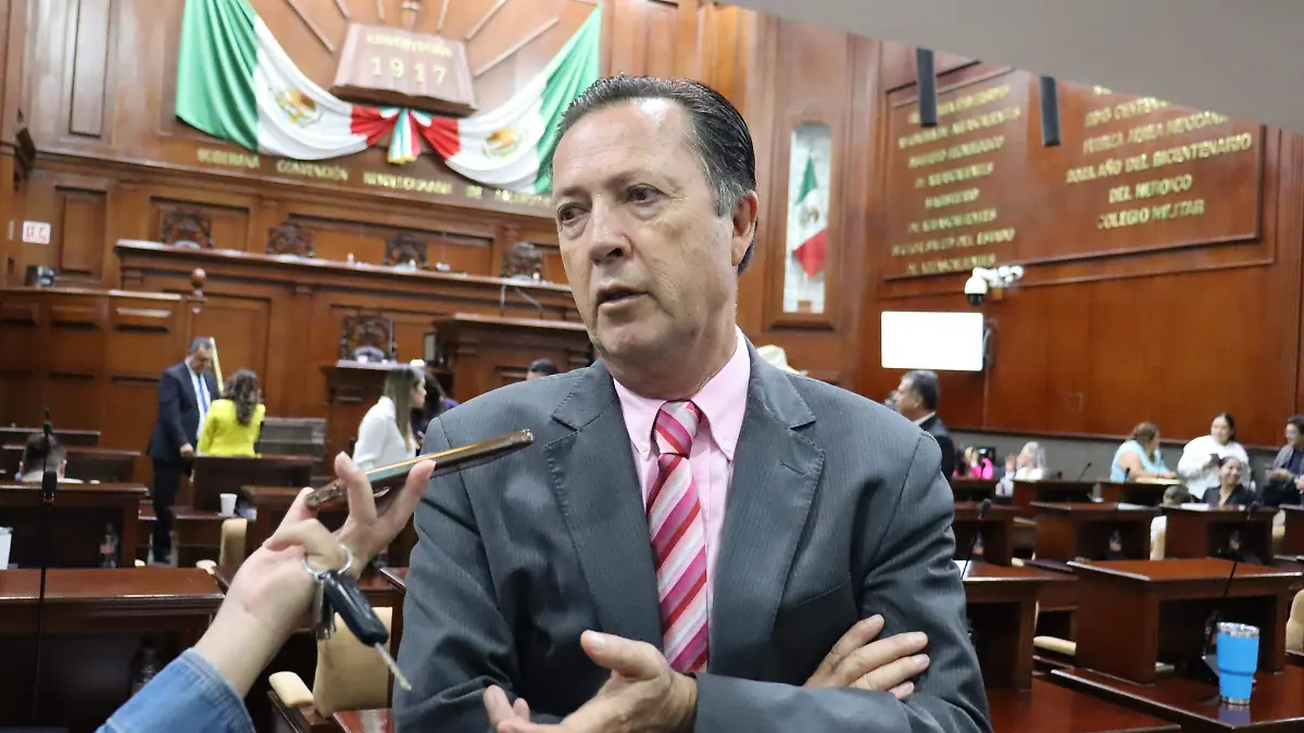 Diputado Raúl Silvia Perezchica