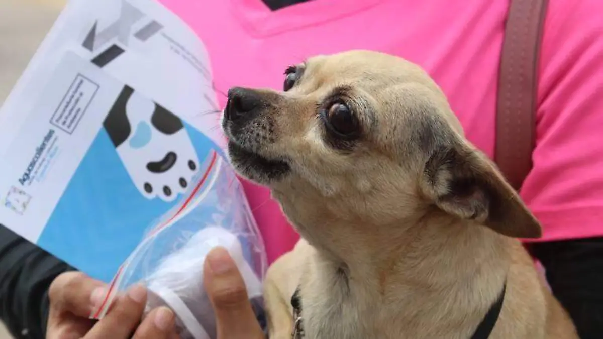 KBLOC-19-03-2024_100