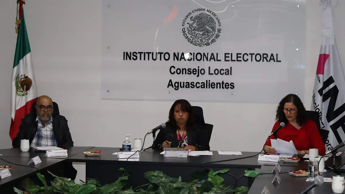  Brenda Castrejón Hernández, Vocal Ejecutiva del INE