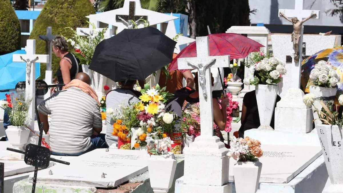 WhatsApp Image 2019-11-02 at 2.42.38 PM