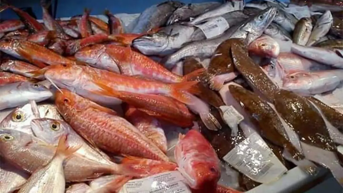 Pescados y mariscos 2