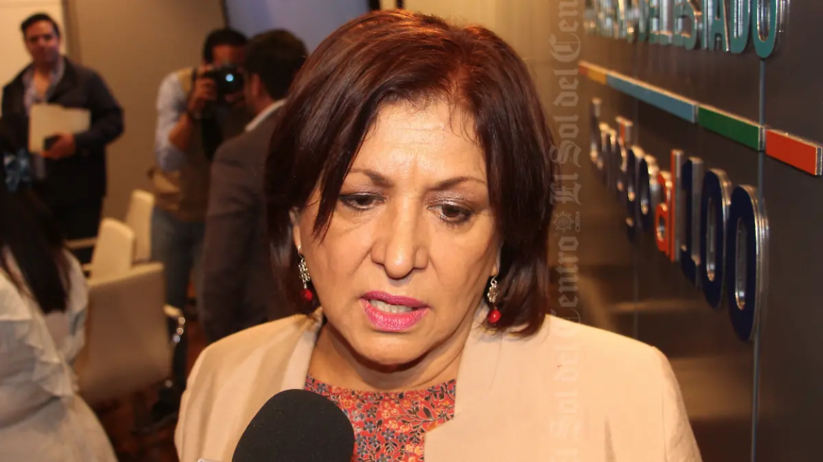 María Teresa Velázquez Navarrete