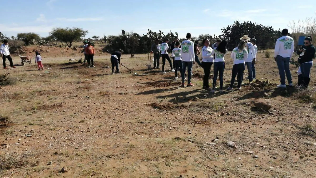 WhatsApp Image 2020-01-10 at 08.05.28