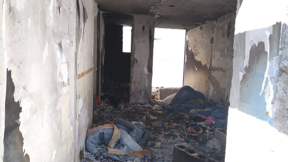 WhatsApp Image 2019-12-15 at 13.00.14