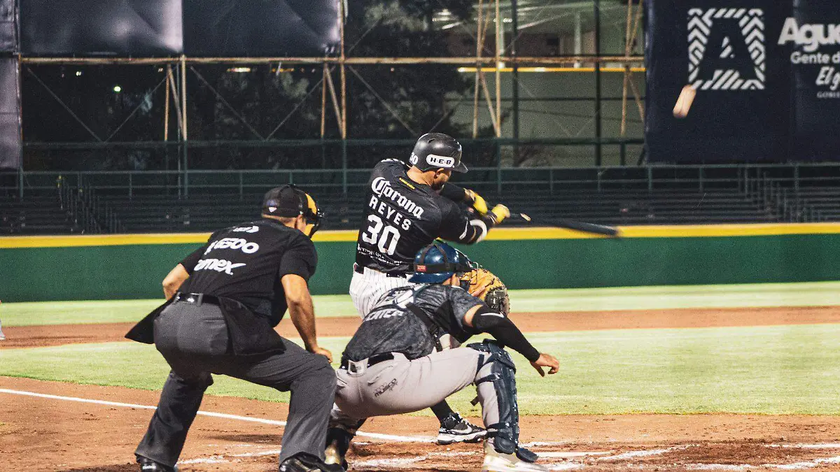 WhatsApp Image 2023-05-13 at 12.27.30 AM