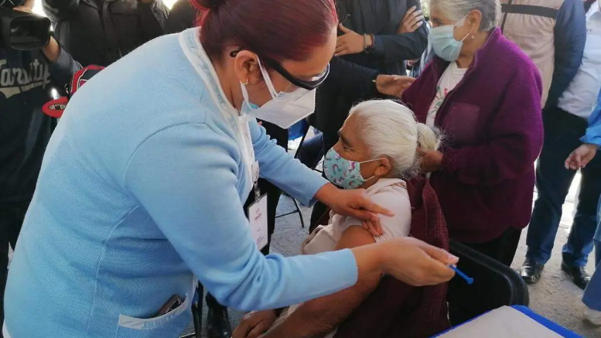 WhatsApp Image 2021-12-15 at 15.28.26