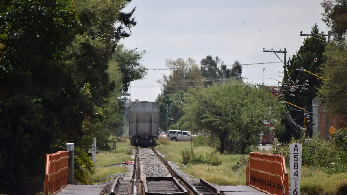 MIigrantes se trasladan en tren