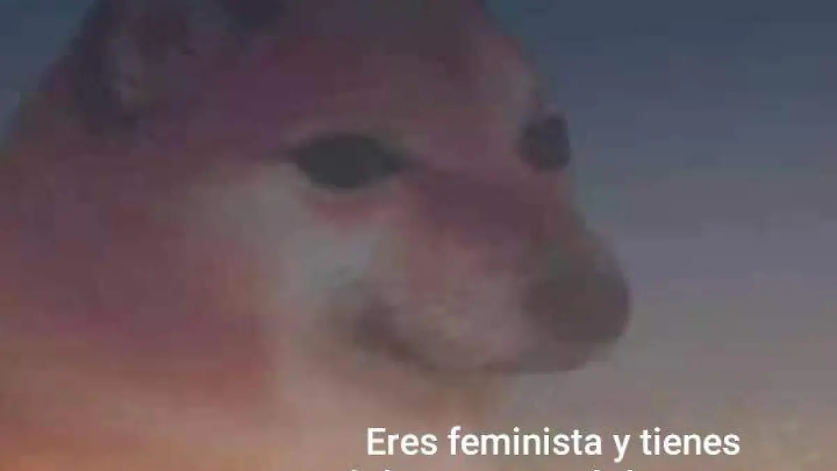 en fin la hipocresia 4