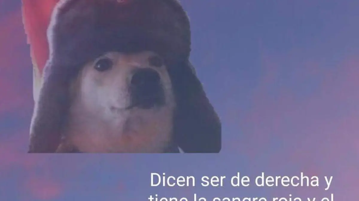 en fin la hipocresia 3