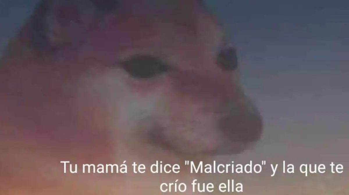 en fin la hipocresia
