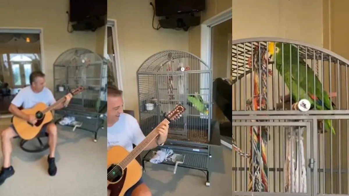 WhatsApp Image 2020-06-15 at 11.51.23