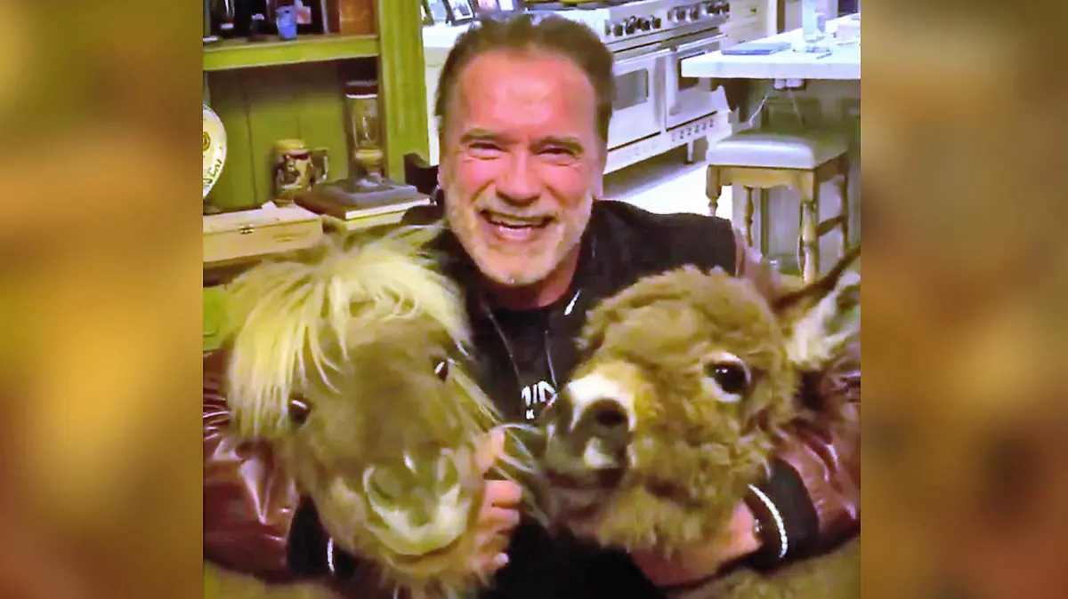 arnold Schwarzenegger