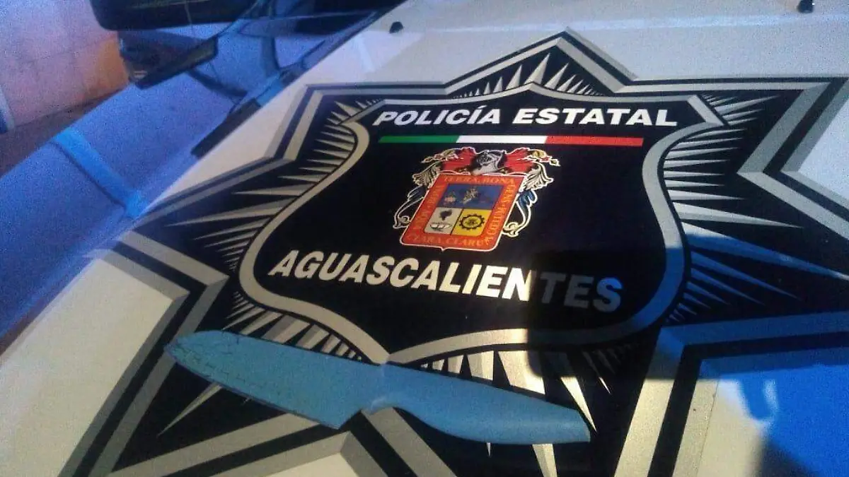 WhatsApp Image 2019-11-05 at 4.01.30 PM