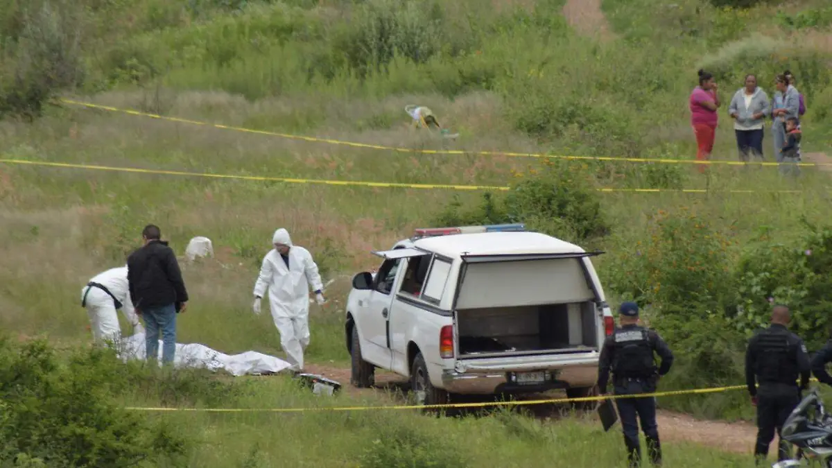 WhatsApp Image 2018-12-06 at 23.46.46