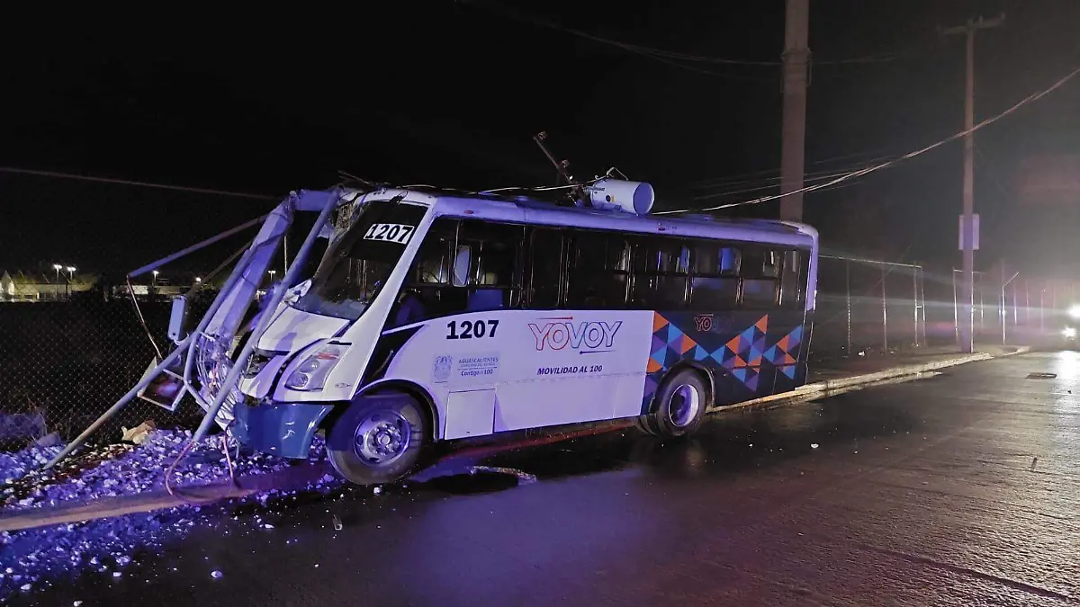 WhatsApp Image 2023-07-07 at 9.24.40 AM