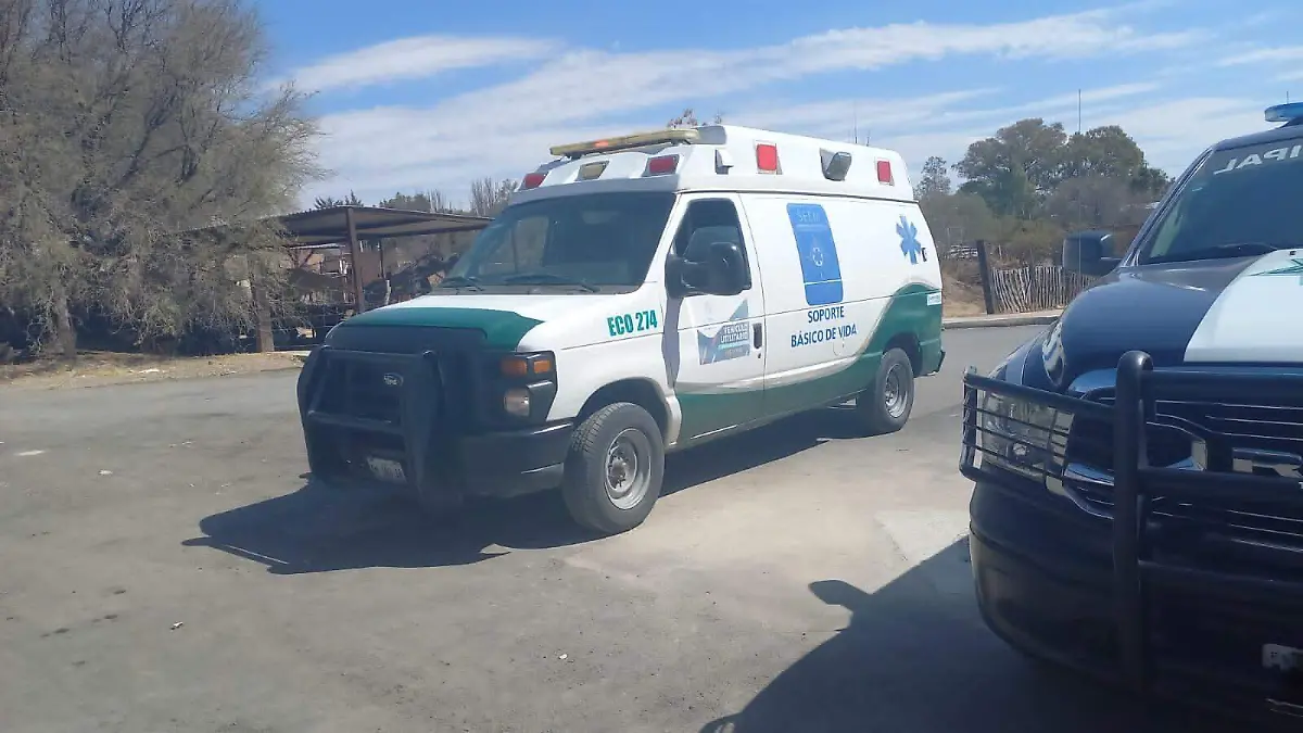 WhatsApp Image 2023-02-10 at 13.01.36