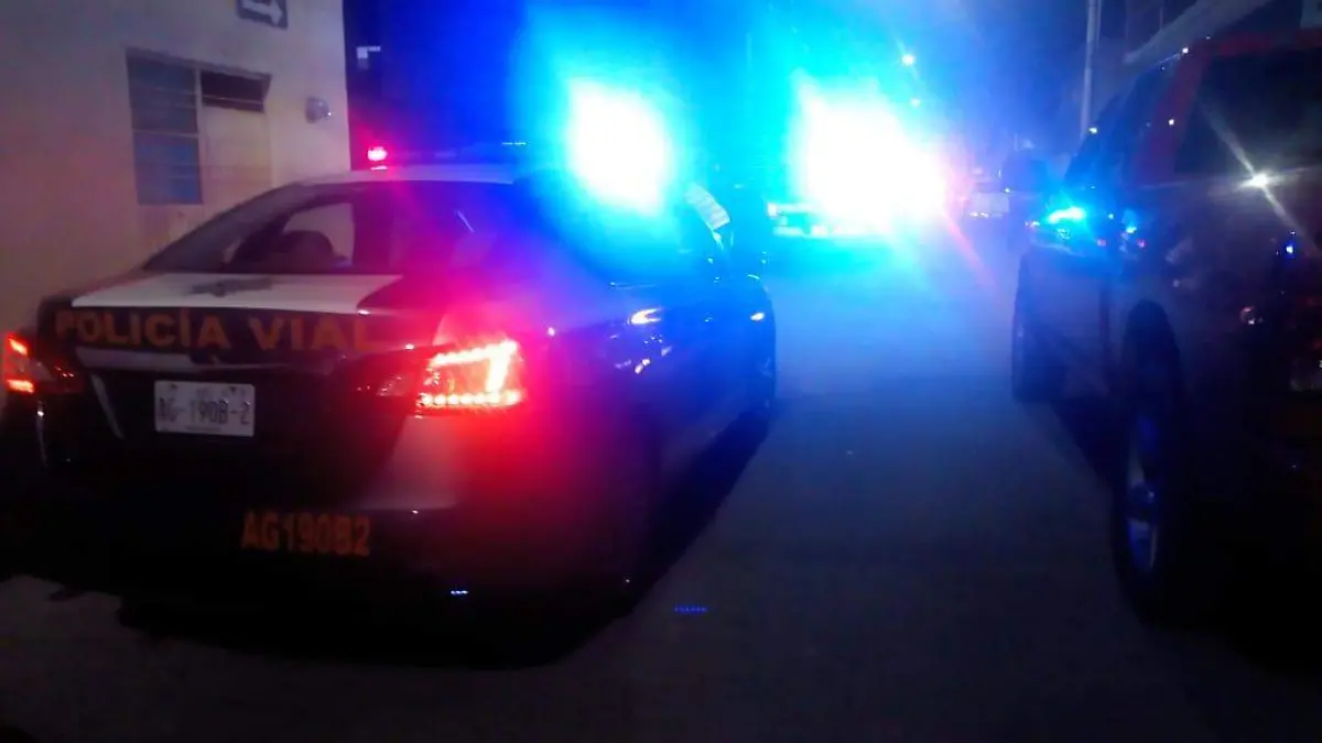 WhatsApp Image 2020-02-17 at 06.04.44