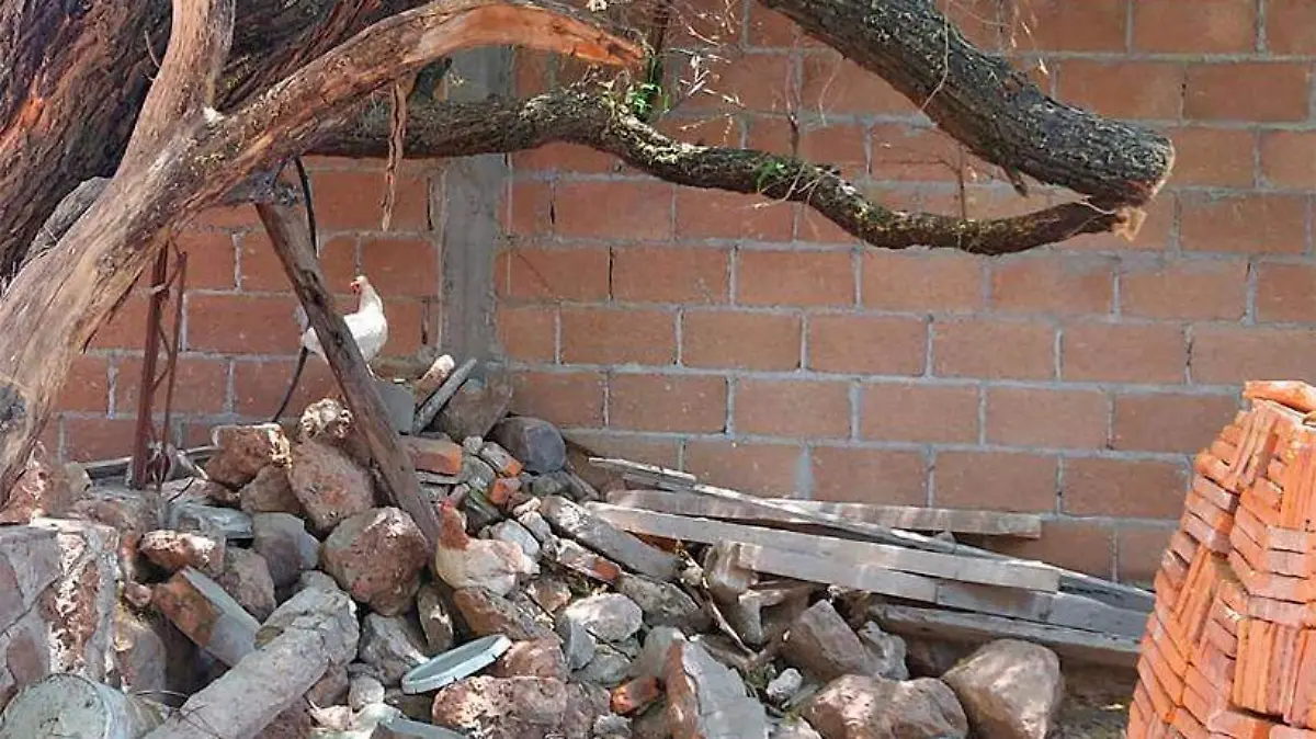 Árbol del sinisestro