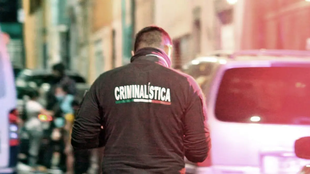 criminalista