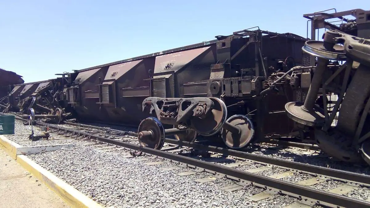 WhatsApp Image 2019-05-11 at 16.39.32