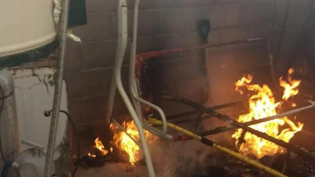 WhatsApp Image 2018-12-10 at 18.12.42