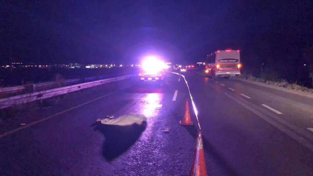 mujer arrollada autopista