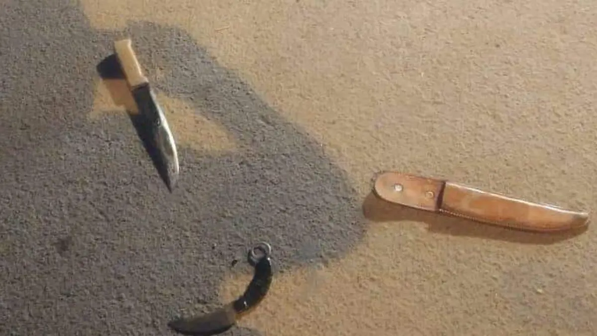 WhatsApp Image 2019-07-22 at 09.24.51