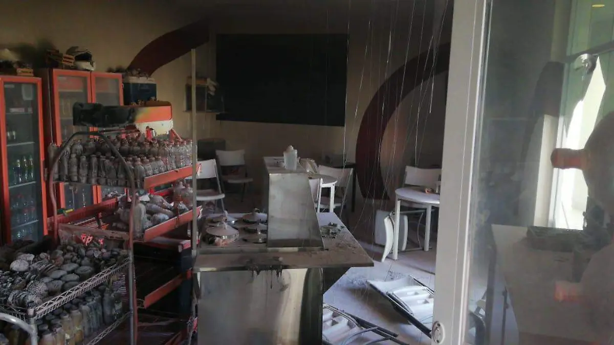 WhatsApp Image 2019-02-05 at 11.49.51