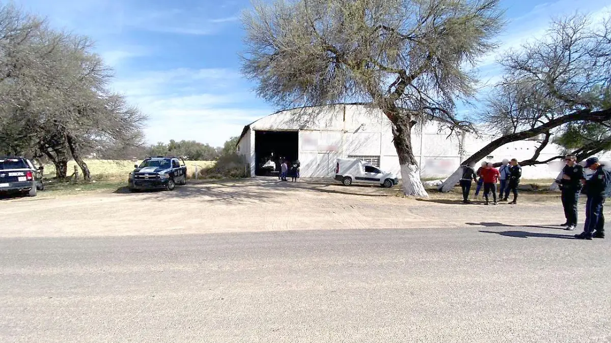 Bodega robo de harina