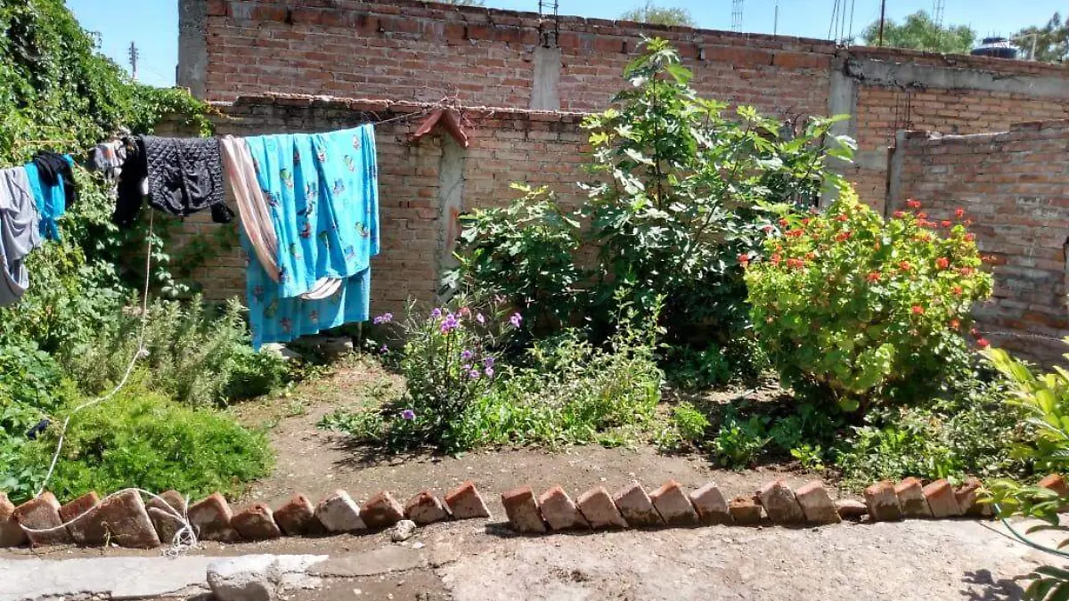 WhatsApp Image 2019-07-09 at 14.46.07