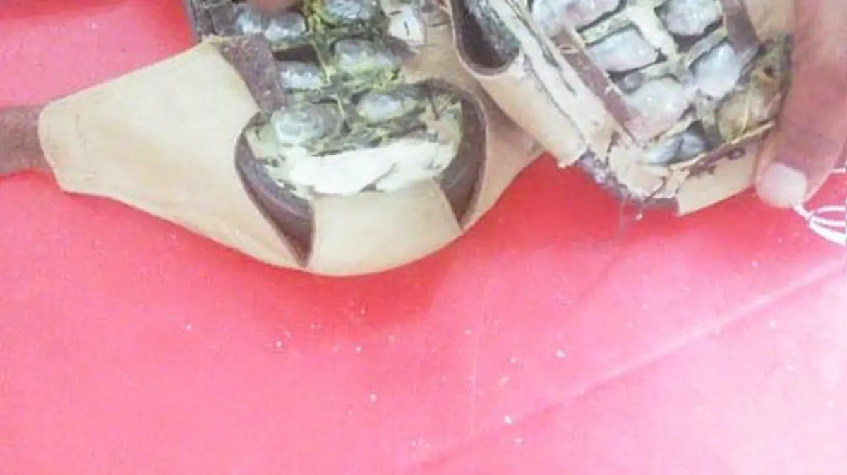 Droga detenida cereso