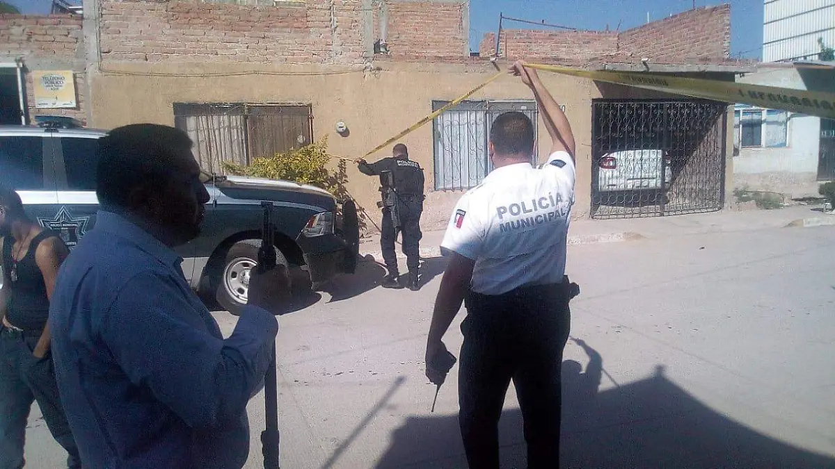 WhatsApp Image 2019-03-15 at 12.08.32