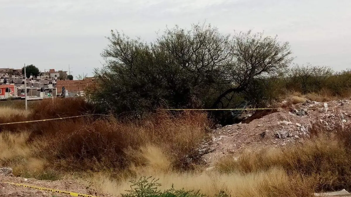 WhatsApp Image 2020-01-12 at 13.07.15