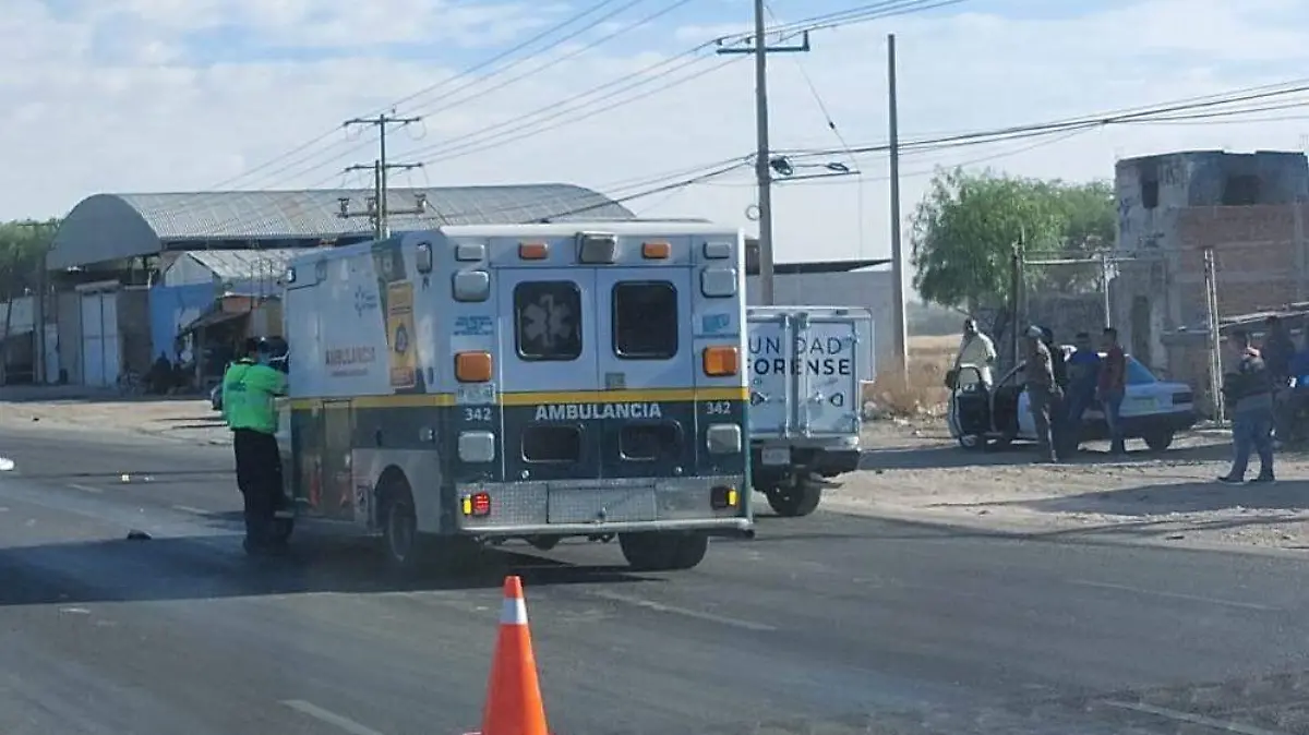 WhatsApp Image 2023-04-05 at 12.04.23