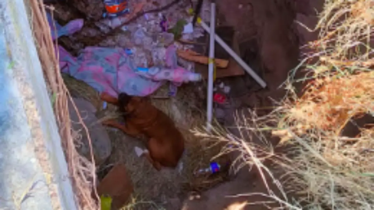 Captura de Pantalla 2023-01-08 a la(s) 21.24.40