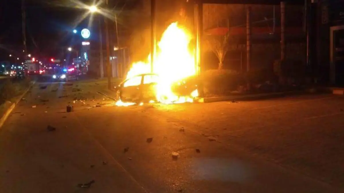 WhatsApp Image 2020-02-23 at 12.11.16 (1)