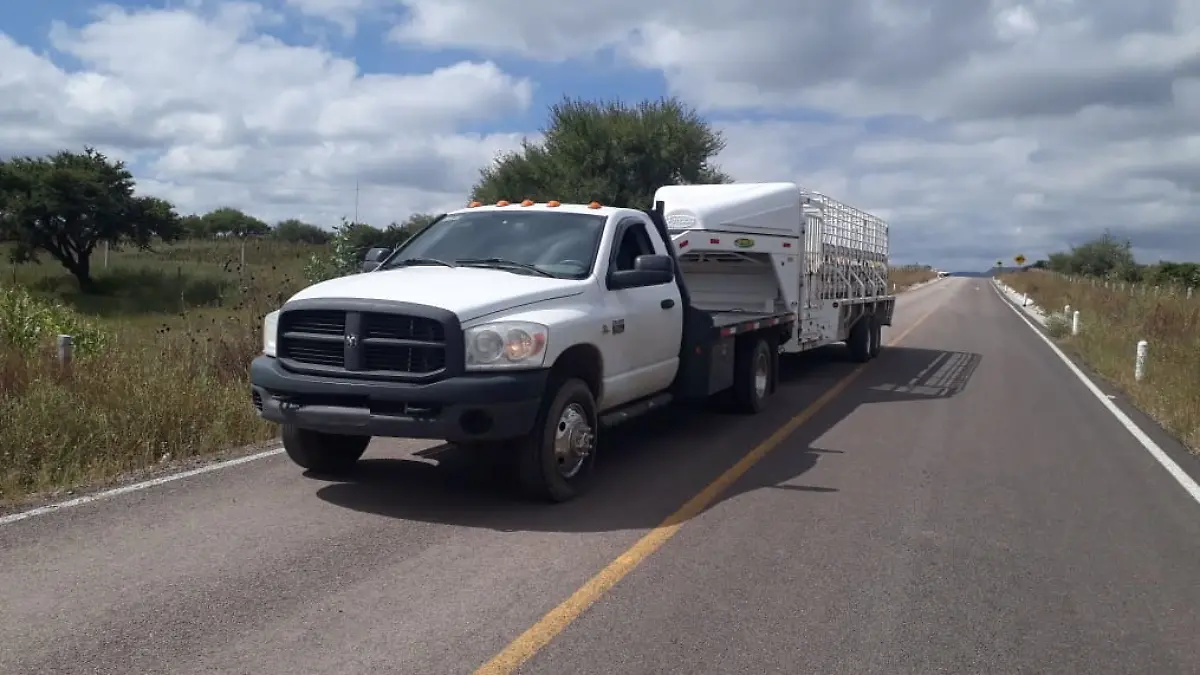 Camioneta con Ganado