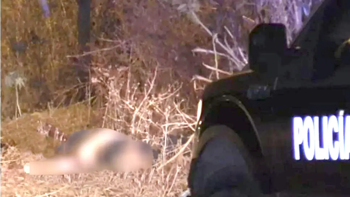 Asesinados en Rincón 2