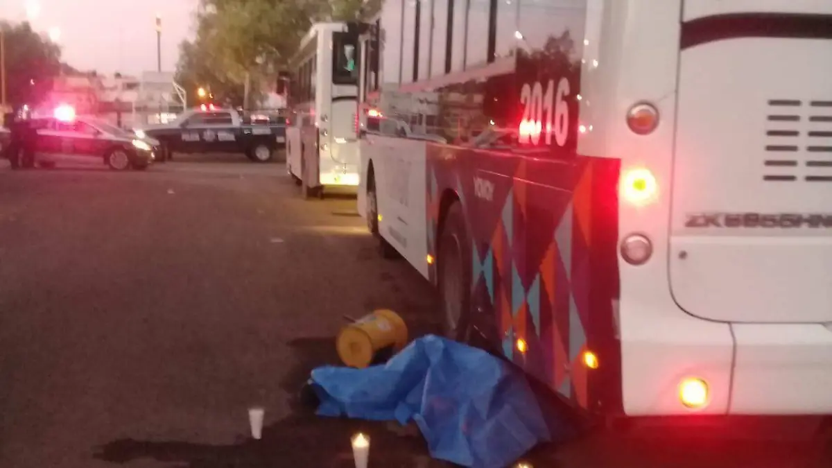 WhatsApp Image 2019-07-09 at 11.47.27