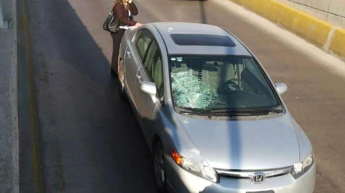 WhatsApp Image 2019-04-05 at 08.50.09