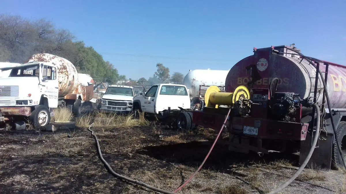 WhatsApp Image 2023-01-12 at 7.55.39 PM