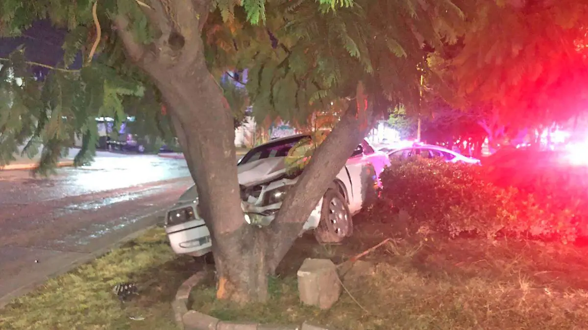 choque contra arbol 3