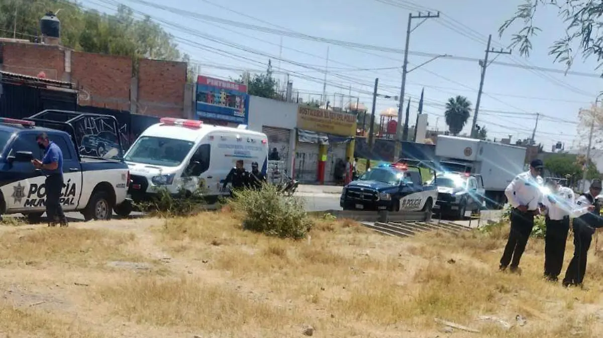 WhatsApp Image 2023-04-03 at 15.09.54