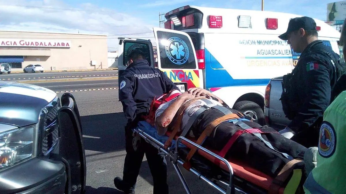 WhatsApp Image 2019-12-28 at 13.34.03 (1)